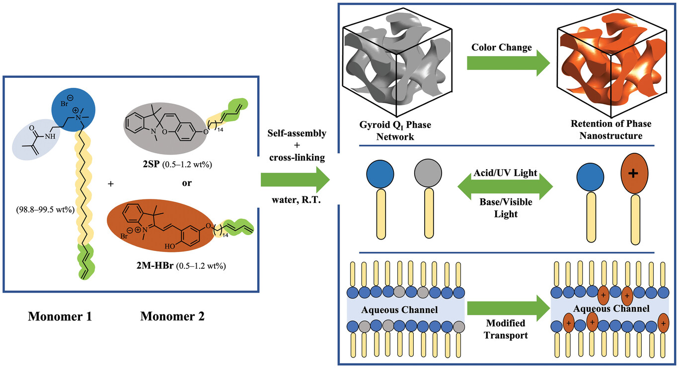 A pH- and Light-Responsive Nanoporous Lyotropic Gyroid Polymer Network